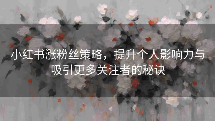 小红书涨粉丝策略，提升个人影响力与吸引更多关注者的秘诀