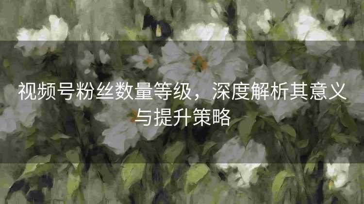 视频号粉丝数量等级，深度解析其意义与提升策略