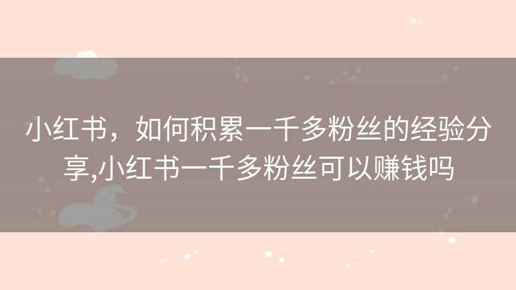 小红书，如何积累一千多粉丝的经验分享,小红书一千多粉丝可以赚钱吗