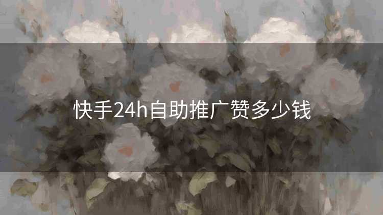快手24h自助推广赞多少钱