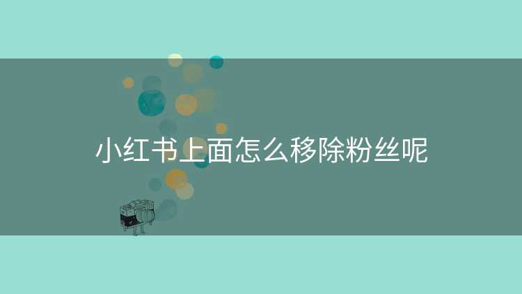 小红书上面怎么移除粉丝呢
