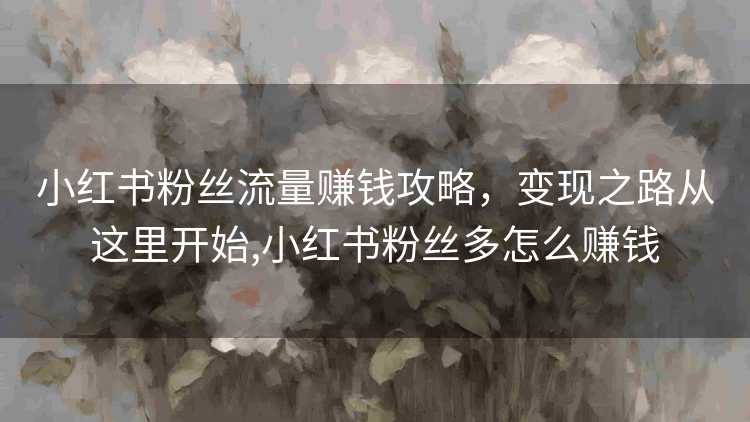 小红书粉丝流量赚钱攻略，变现之路从这里开始,小红书粉丝多怎么赚钱