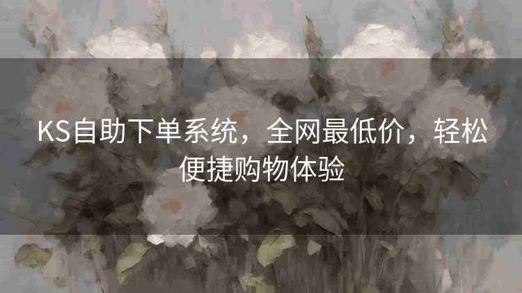 KS自助下单系统，全网最低价，轻松便捷购物体验