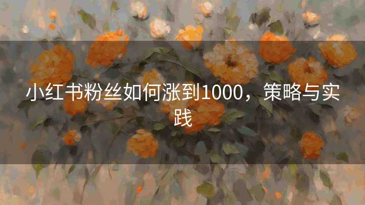 小红书粉丝如何涨到1000，策略与实践