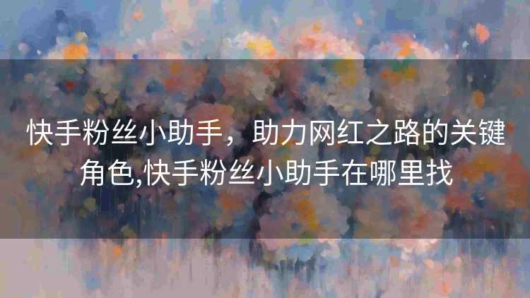 快手粉丝小助手，助力网红之路的关键角色,快手粉丝小助手在哪里找