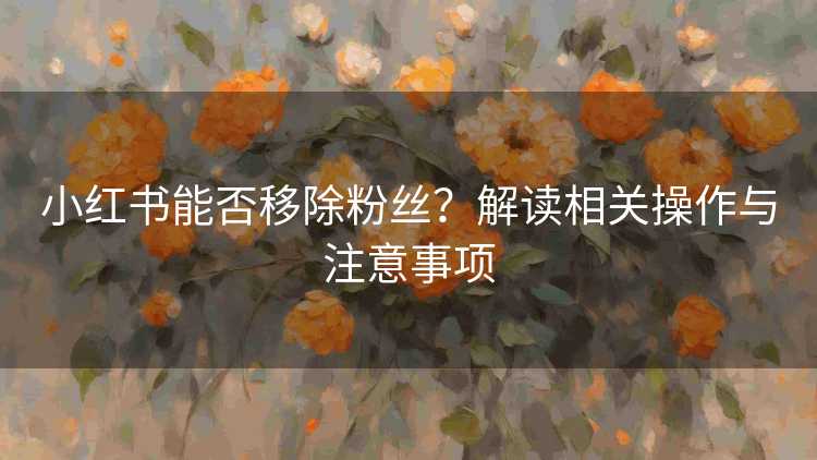 小红书能否移除粉丝？解读相关操作与注意事项
