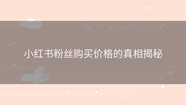 小红书粉丝购买价格的真相揭秘