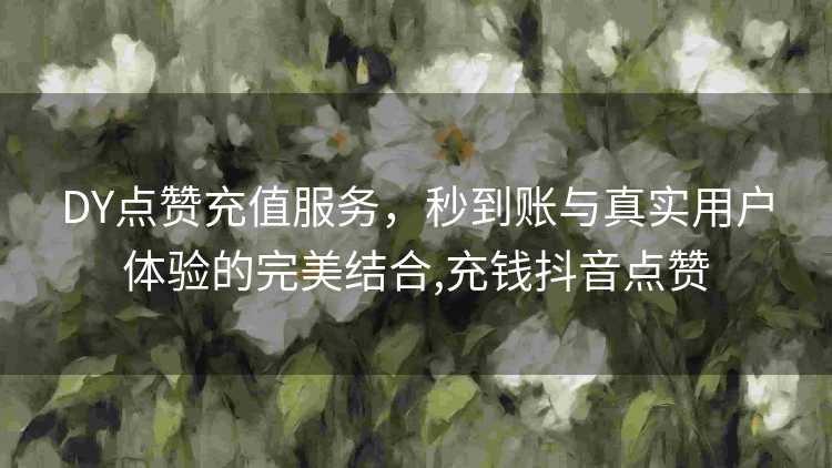 DY点赞充值服务，秒到账与真实用户体验的完美结合,充钱抖音点赞