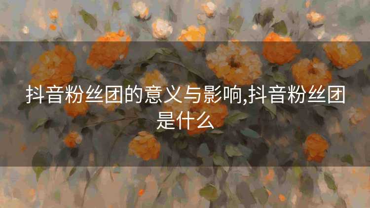 抖音粉丝团的意义与影响,抖音粉丝团是什么