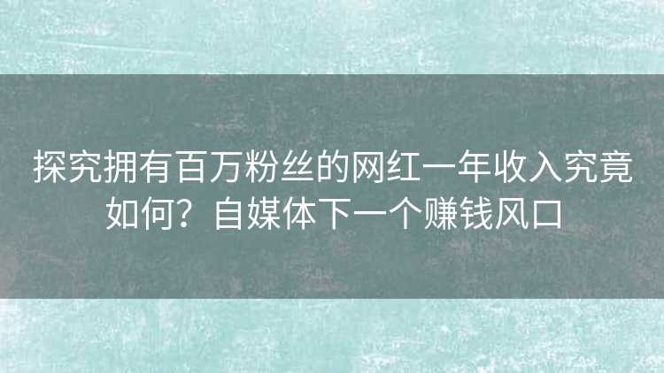 探究拥有百万粉丝的网红一年收入究竟如何？自媒体下一个赚钱风口