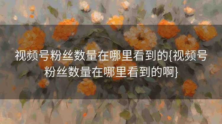 视频号粉丝数量在哪里看到的{视频号粉丝数量在哪里看到的啊}