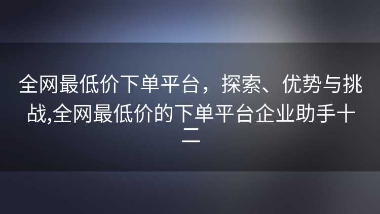 全网最低价下单平台，探索、优势与挑战,全网最低价的下单平台企业助手十二