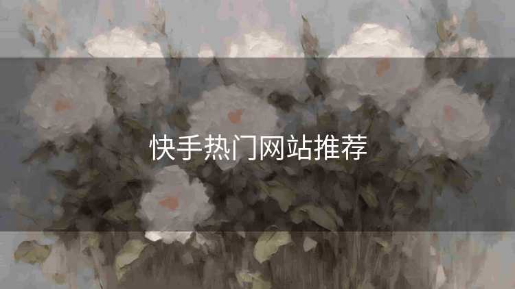 快手热门网站推荐