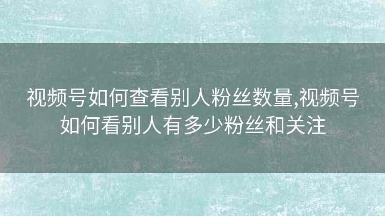 视频号如何查看别人粉丝数量,视频号如何看别人有多少粉丝和关注