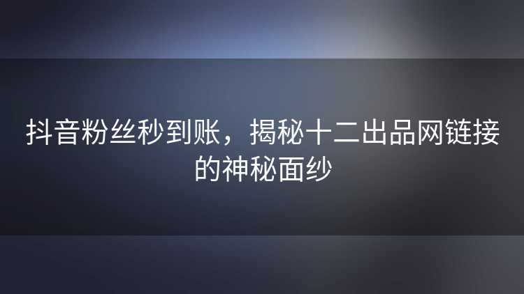 抖音粉丝秒到账，揭秘十二出品网链接的神秘面纱