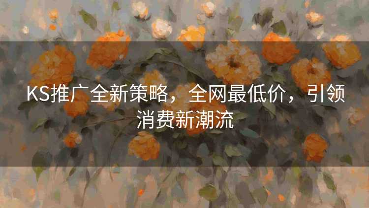 KS推广全新策略，全网最低价，引领消费新潮流