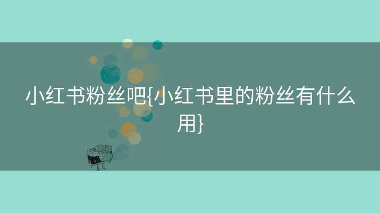 小红书粉丝吧{小红书里的粉丝有什么用}