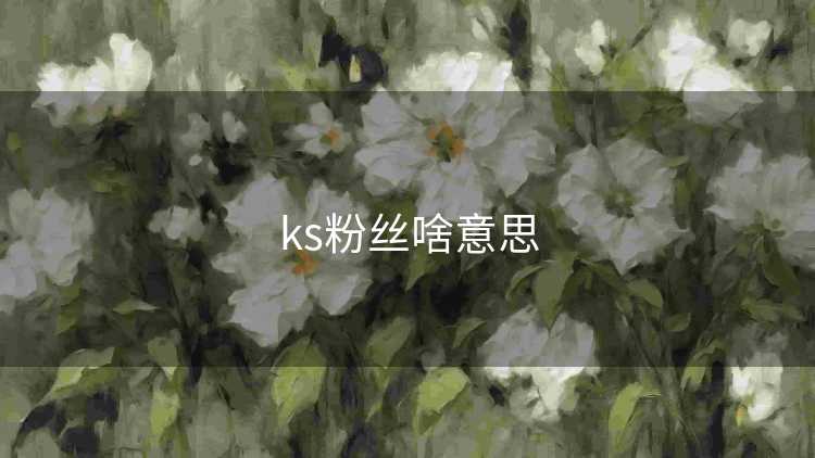 ks粉丝啥意思