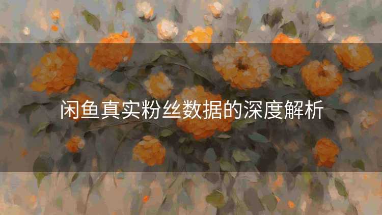 闲鱼真实粉丝数据的深度解析