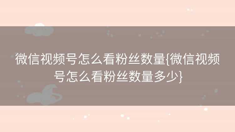 微信视频号怎么看粉丝数量{微信视频号怎么看粉丝数量多少}
