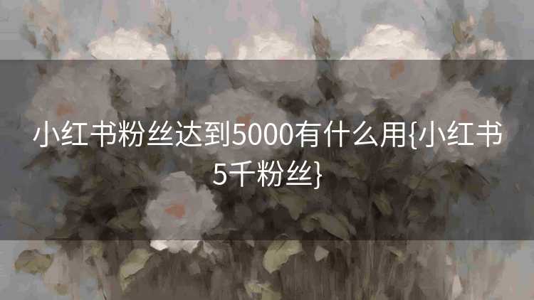 小红书粉丝达到5000有什么用{小红书5千粉丝}