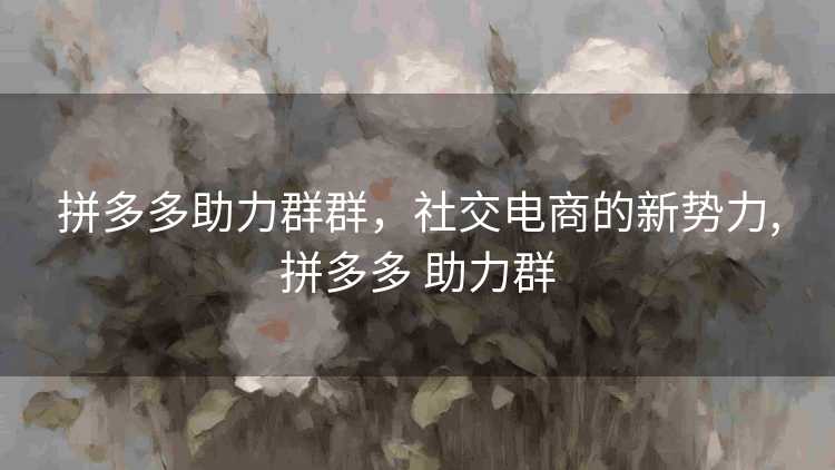 拼多多助力群群，社交电商的新势力,拼多多 助力群