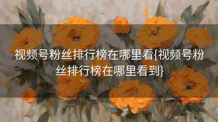 视频号粉丝排行榜在哪里看{视频号粉丝排行榜在哪里看到}
