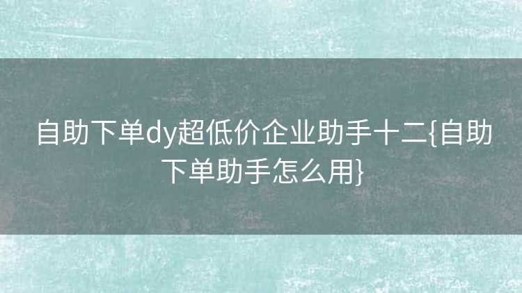 自助下单dy超低价企业助手十二{自助下单助手怎么用}