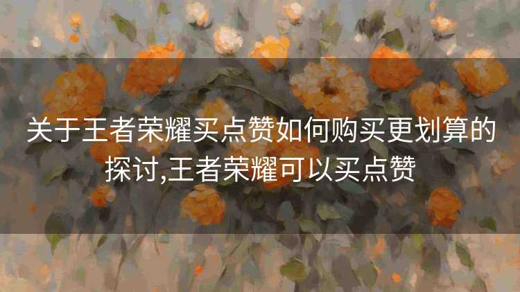 关于王者荣耀买点赞如何购买更划算的探讨,王者荣耀可以买点赞