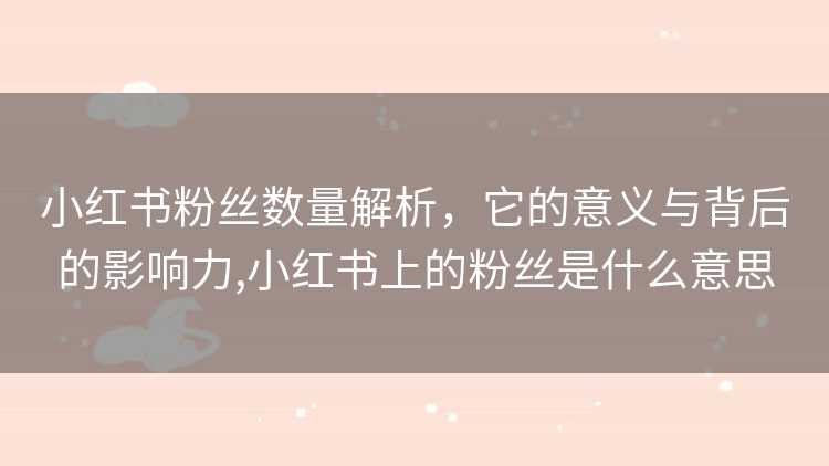 小红书粉丝数量解析，它的意义与背后的影响力,小红书上的粉丝是什么意思