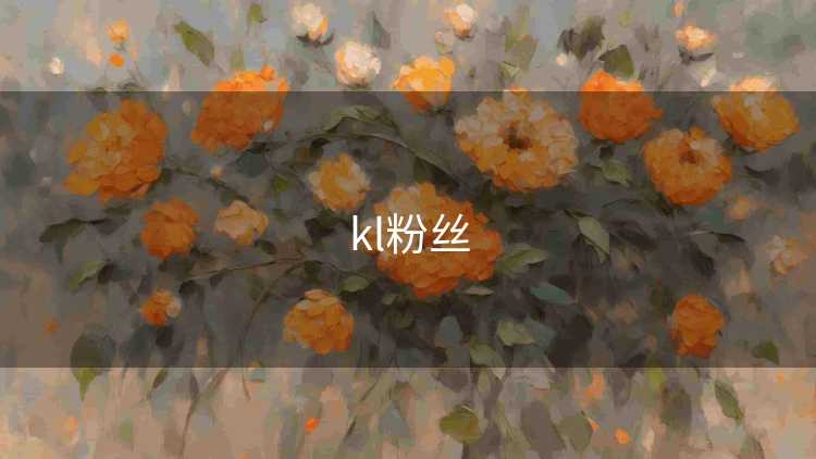 kl粉丝
