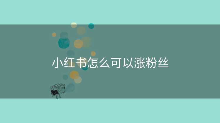 小红书怎么可以涨粉丝