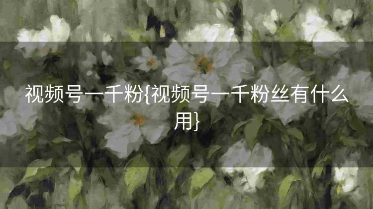 视频号一千粉{视频号一千粉丝有什么用}