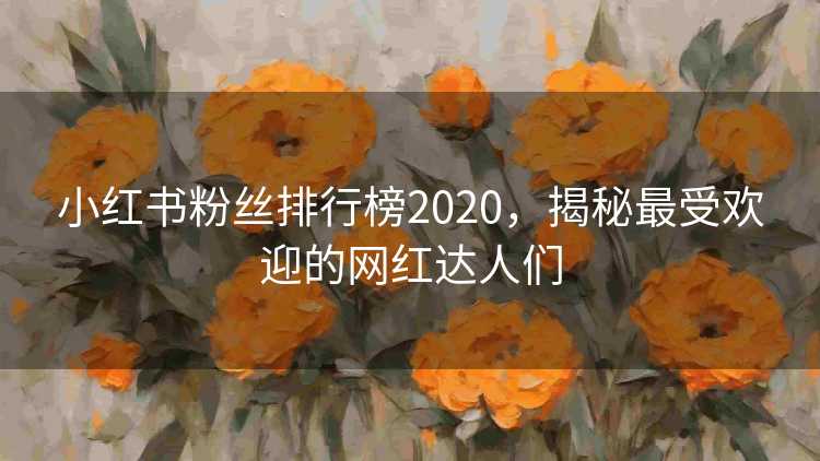 小红书粉丝排行榜2020，揭秘最受欢迎的网红达人们