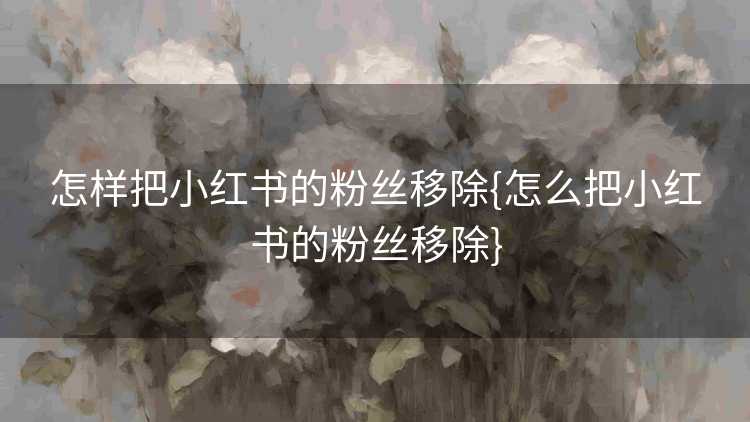 怎样把小红书的粉丝移除{怎么把小红书的粉丝移除}