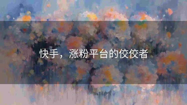 快手，涨粉平台的佼佼者