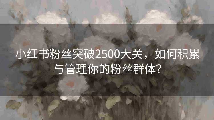 小红书粉丝突破2500大关，如何积累与管理你的粉丝群体？