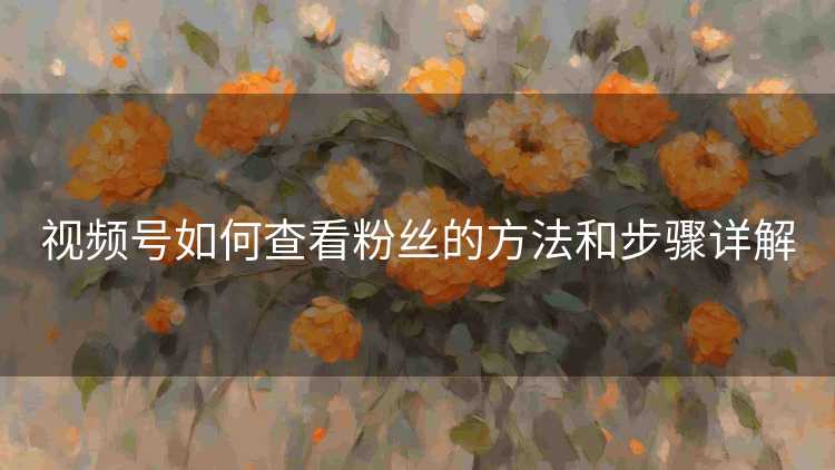 视频号如何查看粉丝的方法和步骤详解