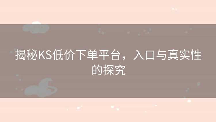 揭秘KS低价下单平台，入口与真实性的探究