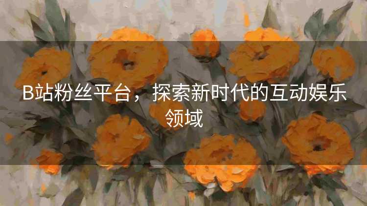 B站粉丝平台，探索新时代的互动娱乐领域