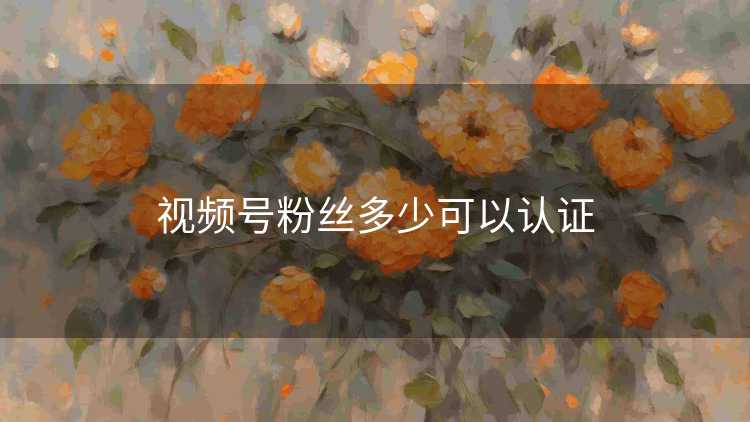 视频号粉丝多少可以认证