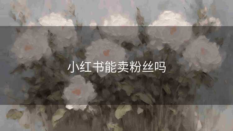 小红书能卖粉丝吗