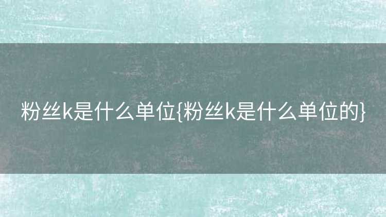 粉丝k是什么单位{粉丝k是什么单位的}