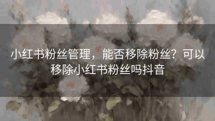 小红书粉丝管理，能否移除粉丝？可以移除小红书粉丝吗抖音