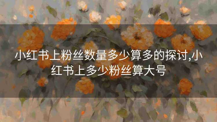 小红书上粉丝数量多少算多的探讨,小红书上多少粉丝算大号