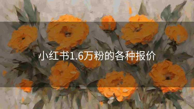 小红书1.6万粉的各种报价