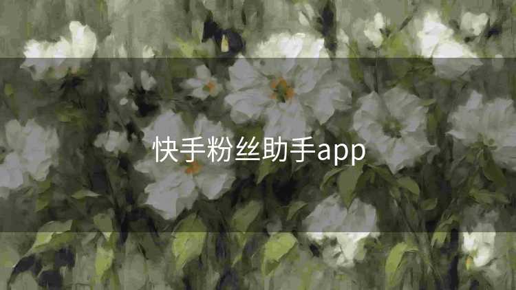快手粉丝助手app
