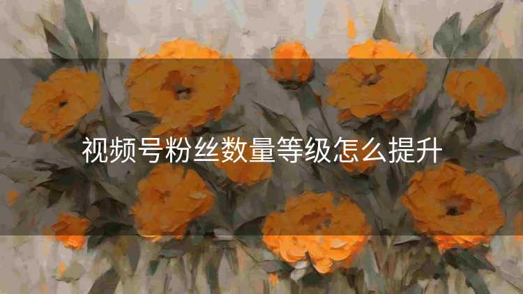 视频号粉丝数量等级怎么提升