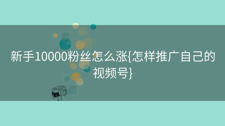 新手10000粉丝怎么涨{怎样推广自己的视频号}