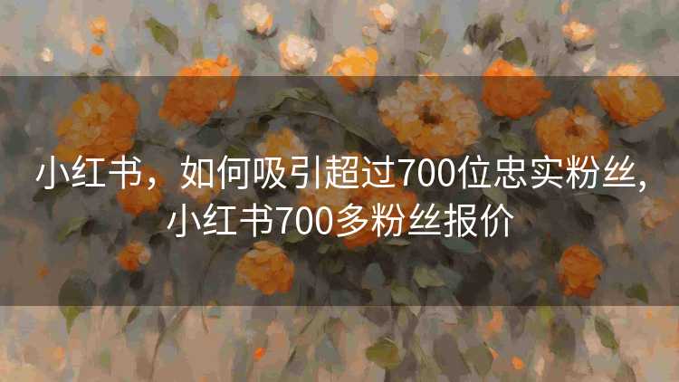 小红书，如何吸引超过700位忠实粉丝,小红书700多粉丝报价
